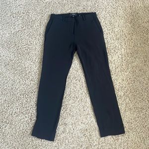 Black Theory Ankle Pants